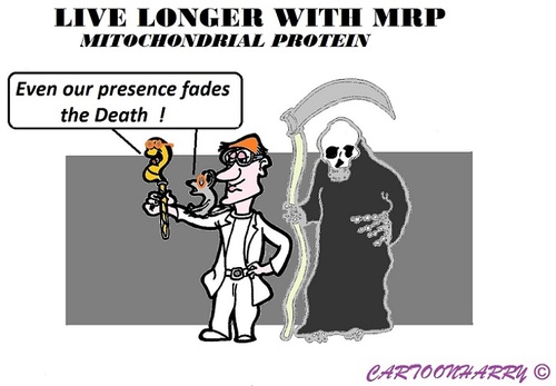 Cartoon: Longer Living (medium) by cartoonharry tagged longer,living,mrp,protein,amc,cartoons,cartoonists,dutch,cartoonharry,toonpool