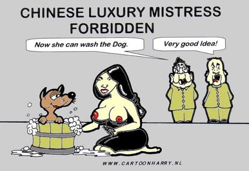 Cartoon: Luxury Mistress in China Forbidd (medium) by cartoonharry tagged cartoonharry,china,mistress,luxus,dog,wash