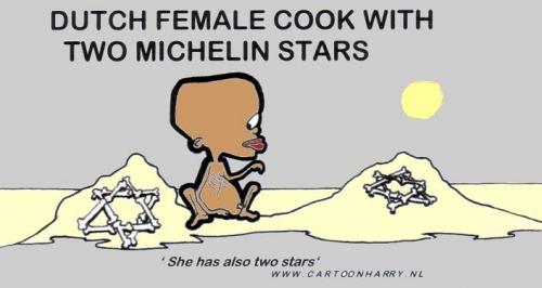 Cartoon: Michelin-Star (medium) by cartoonharry tagged food