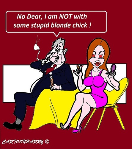 Cartoon: NO BLONDE (medium) by cartoonharry tagged blonde,dinner,telephone,cartoons,cartoonists,cartoonharry,dutch,damn,toonpool