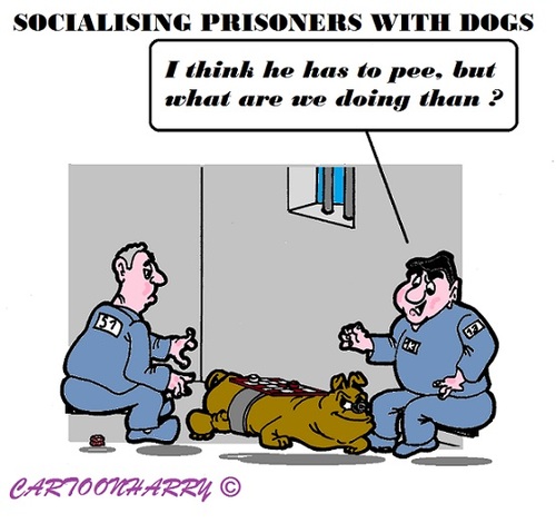 Cartoon: Prisoner Socialising (medium) by cartoonharry tagged prison,prisoner,dogs,socialising