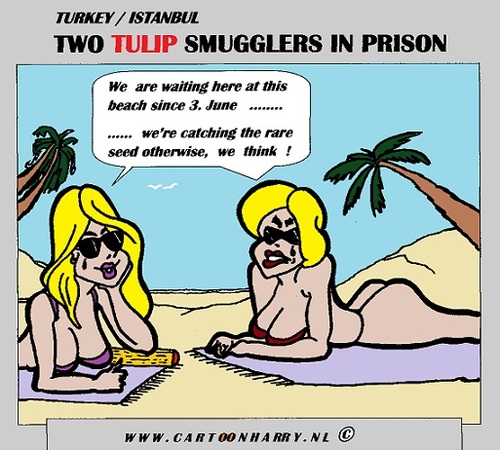 Cartoon: Seed Smugglers In Prison (medium) by cartoonharry tagged seed,tulipe,smugglers,holland,turkey,girls,wait,beach,cartoon,cartoonist,cartoonharry,dutch,toonpool