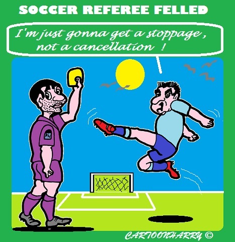 Cartoon: Soccer Today (medium) by cartoonharry tagged soccer,referee,felled,karate,today,conclusions