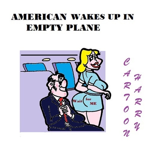 Cartoon: Stay Awake (medium) by cartoonharry tagged plane,american,wakeup