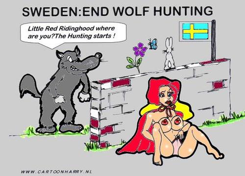 Cartoon: Sweden Ends Wolf Hunting (medium) by cartoonharry tagged wolf,hunting,cartoonharry,redhood