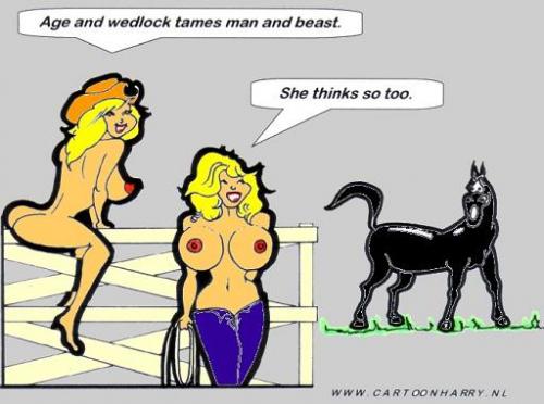 Cartoon: Tame man and horse (medium) by cartoonharry tagged cowgirl,horse