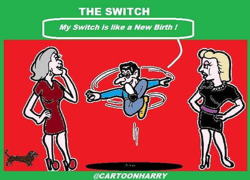 Cartoon: The Switch (medium) by cartoonharry tagged divorce,switch