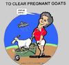 Cartoon: Kill Pregnant Goats (small) by cartoonharry tagged cartoonharry,goat,mankind,verburg