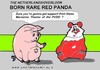 Cartoon: Rare Red Panda Born (small) by cartoonharry tagged pig,pandabear,red,cartoonharry