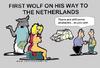 Cartoon: The First Dutch Wolf (small) by cartoonharry tagged girls wolf dutch ridinghood