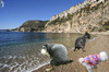 Cartoon: Kot d Azur (small) by Vanessa tagged frankreich,urlaub,strand,meer,hund,sonne,france