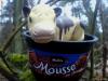 Cartoon: Muhs au Chocolat (small) by Vanessa tagged kuh,mousse,chocolat,schokolade,tiere,muh