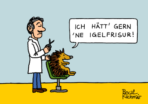 Cartoon: Beim Friseur (medium) by Pascal Kirchmair tagged igel,igelfrisur,frisör,friseur,coiffeur,witz,humour,umorismo,humorous,spirito,humor,illustration,drawing,zeichnung,pascal,kirchmair,political,cartoon,caricature,karikatur,ilustracion,dibujo,desenho,ink,disegno,ilustracao,illustrazione,illustratie,dessin,de,presse,tekening,teckning,cartum,vineta,comica,vignetta,caricatura,coiffure,friseursalon,igel,igelfrisur,frisör,friseur,coiffeur,witz,humour,umorismo,humorous,spirito,humor,illustration,drawing,zeichnung,pascal,kirchmair,political,cartoon,caricature,karikatur,ilustracion,dibujo,desenho,ink,disegno,ilustracao,illustrazione,illustratie,dessin,de,presse,tekening,teckning,cartum,vineta,comica,vignetta,caricatura,coiffure,friseursalon