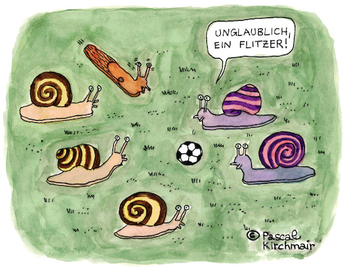 Der Flitzer Der Flitzer