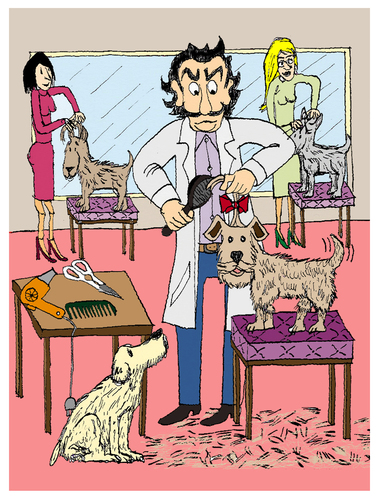 Cartoon: Der Hundefriseur (medium) by Pascal Kirchmair tagged hundefriseur,karikatur,caricature,cartoon,vignetta,dessin,humour,humor,dog,groomer,coiffeur,de,chiens,salon,coiffure,hundesalon,frisieren,legen,setzen,schneiden,figaro,canine,stylist,styliste,mode,stilist