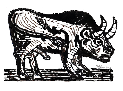 Cartoon: Der Stier (medium) by Pascal Kirchmair tagged the,bull,taurus,stier,il,el,toro,tauro,le,taureau,touro,pablo,picasso,pascal,kirchmair,dessin,ink,drawing,tusche,tuschezeichnung,la,coruna,ruiz,espana,antibes,provence,barcelona,painting,dipinto,pintura,pittura,peinture,artist,artiste,artista,kunst,künstler,illustration,zeichnung,cartoon,caricature,karikatur,ilustracion,dibujo,desenho,disegno,ilustracao,illustrazione,illustratie,de,presse,du,jour,art,of,day,tekening,teckning,cartum,vineta,comica,vignetta,caricatura,portrait,porträt,portret,retrato,ritratto,malaga,spanien,espagne,spain,spagna,arte,the,bull,taurus,stier,il,el,toro,tauro,le,taureau,touro,pablo,picasso,pascal,kirchmair,dessin,ink,drawing,tusche,tuschezeichnung,la,coruna,ruiz,espana,antibes,provence,barcelona,painting,dipinto,pintura,pittura,peinture,artist,artiste,artista,kunst,künstler,illustration,zeichnung,cartoon,caricature,karikatur,ilustracion,dibujo,desenho,disegno,ilustracao,illustrazione,illustratie,de,presse,du,jour,art,of,day,tekening,teckning,cartum,vineta,comica,vignetta,caricatura,portrait,porträt,portret,retrato,ritratto,malaga,spanien,espagne,spain,spagna,arte