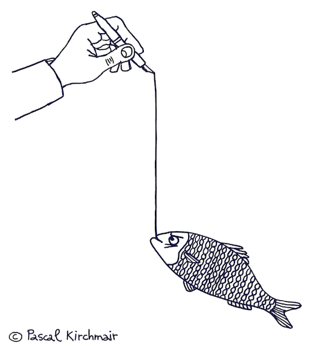 DER TINTENFISCH DER TINTENFISCH