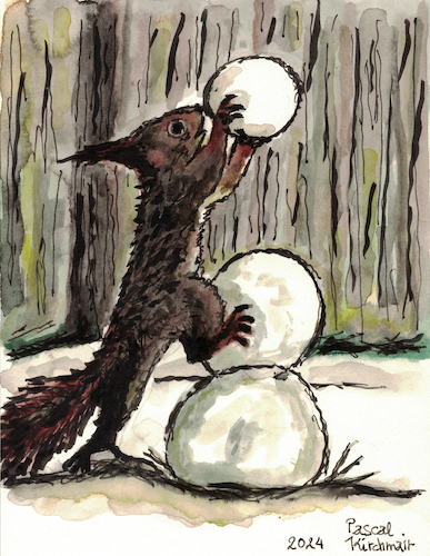 Eichhörnchen mit Schneeball Eichhörnchen mit Schneeball