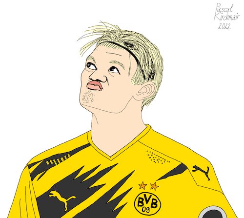Erling Haaland Erling Haaland