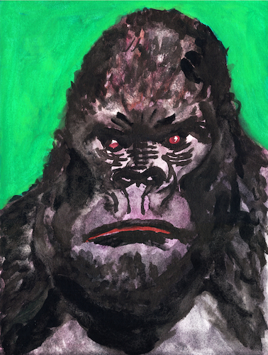 Gorilla Gorilla