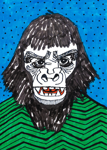 Gorilla Gorilla