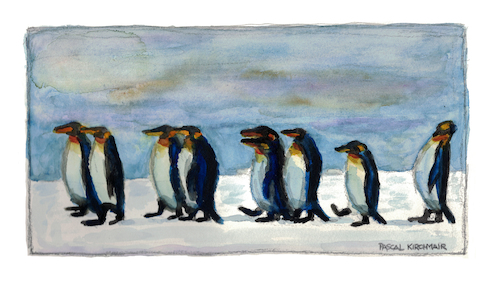 King Penguins King Penguins