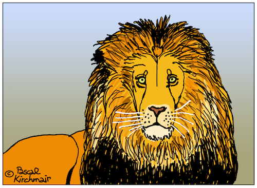 Cartoon: Lion (medium) by Pascal Kirchmair tagged lion,löwe,king,roi,jungle,könig,dschungel,cartoon,drawing,dessin,dibujo,desenho,disegno,zeichnung,illustration,leon,leone,leao,giungla,selva,jungla,ilustracion,ilustracao,illustrazione,lion,löwe,king,roi,jungle,könig,dschungel,cartoon,drawing,dessin,dibujo,desenho,disegno,zeichnung,illustration,leon,leone,leao,giungla,selva,jungla,ilustracion,ilustracao,illustrazione