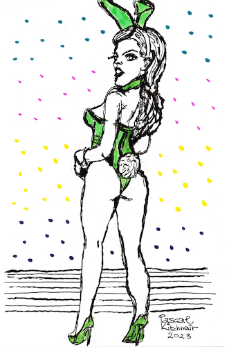 Playboy Bunny Playboy Bunny