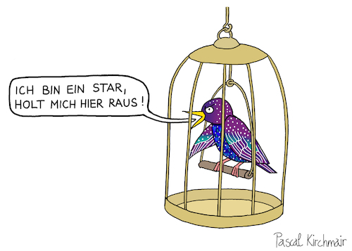 Star Star