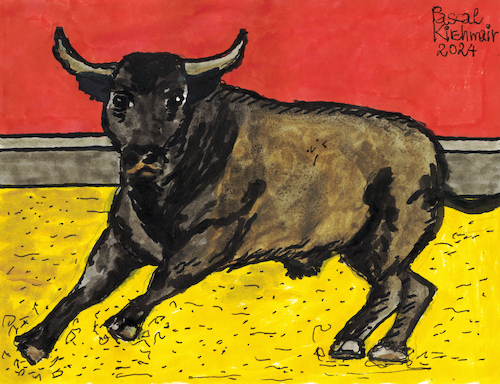Stier Stier