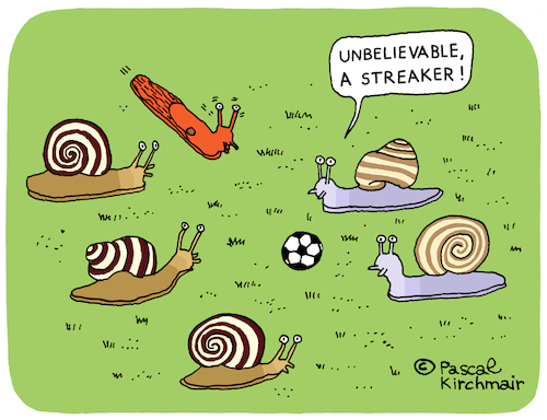 The Streaker The Streaker