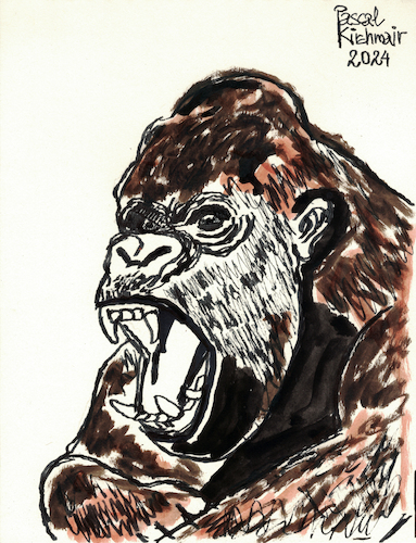 Wütender Gorilla Wütender Gorilla