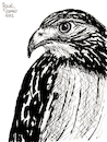 Cartoon: Adler (small) by Pascal Kirchmair tagged adler,eagle,aigle,aguila,aquila,aguia,tinta,china,tusche,malerei,cartoon,karikatur,illustration,ink,drawing,zeichnung,pascal,kirchmair,caricature,ilustracion,dibujo,desenho,disegno,ilustracao,illustrazione,illustratie,dessin,de,presse,tekening,teckning,cartum,vineta,comica,vignetta,caricatura,retrato,ritratto,portrait,painting,peinture,dipinto,pittura,pintura,art,arte,kunst,artist,artiste,artista,porträt,encre,chine,raubvogel