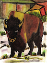 Cartoon: Buffalo (small) by Pascal Kirchmair tagged american,buffalo,bisonte,snow,schnee,ink,drawing,tuschezeichnung,dibujo,desenho,pascal,kirchmair,illustration,ilustracion,ilustracao,arte,kunst,dessin,painting,pintura,peinture,gouache,usa,nieve,neige,neve,zeichnung,cartoon,caricature,karikatur,illustrazione,illustratie,de,presse,tekening,teckning,cartum,vineta,comica,vignetta,caricatura,tusche,portrait,retrato,porträt,ritratto,art,artwork,encre,chine,tinta,china,inchiostro,nanquim,dipinto,malerei,pittura