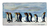 Cartoon: King Penguins (small) by Pascal Kirchmair tagged königspinguine manchots royaux pinguine king penguins watercolour aquarell pascal kirchmair pinguinos reales illustration drawing zeichnung cartoon caricature karikatur ilustracion dibujo desenho ink disegno ilustracao illustrazione illustratie dessin de presse du jour art of the day tekening teckning aquarelle watercolor acquarello acuarela aguarela aquarela painting malerei peinture dipinto pintura pittura cuadro quadro