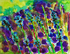 Cartoon: Lavande (small) by Pascal Kirchmair tagged lavande,lavender,lavendel,lavanda,abstract,abstrakt,pascal,kirchmair,watercolour,watercolor,aquarell,painting,peinture,art,arte,kunst,blumen,flowers,abstrakte,abstrait,abstracto,abstrato,astratto,blumenaquarell,bild,wild,cuadro,quadro,picture,garden,jardin,garten,dipinto,pittura,pintura,artwork,illustration,drawing,zeichnung,ilustracion,dibujo,desenho,ink,disegno,ilustracao,illustrazione,illustratie,dessin,du,jour,of,the,day,tekening,teckning,giardino,provenzale,provence,provencal