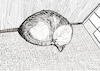 Cartoon: Sleeping Cat (small) by Pascal Kirchmair tagged sparky,monika,cat,katze,gato,gatto,chat,dans,le,panier,humour,umorismo,humorous,spirito,humor,illustration,ink,drawing,zeichnung,pascal,kirchmair,political,cartoon,caricature,karikatur,ilustracion,dibujo,desenho,da,china,disegno,ilustracao,illustrazione,illustratie,dessin,de,presse,tekening,teckning,cartum,vineta,comica,vignetta,caricatura,inchiostro,tinta,encre,chine,tusche,tuschezeichnung