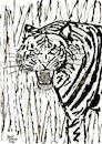 Cartoon: Tiger (small) by Pascal Kirchmair tagged predator,raubkatze,predateur,felin,felino,fauve,predador,predatore,tiger,tigre,big,cat,cats,katzen,gatos,gatti,chats,illustration,ink,drawing,zeichnung,pascal,kirchmair,cartoon,caricature,karikatur,ilustracion,dibujo,desenho,ilustracao,illustrazione,illustratie,dessin,de,presse,tekening,teckning,cartum,vineta,comica,vignetta,caricatura,tusche,tuschezeichnung,portrait,retrato,porträt,ritratto,art,arte,kunst,artwork,expressiv,expressive,expressionism,expressionismus