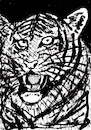 Cartoon: Tiger (small) by Pascal Kirchmair tagged predator,raubkatze,predateur,felin,felino,fauve,predador,predatore,tiger,tigre,big,cat,cats,katzen,gatos,gatti,chats,illustration,ink,drawing,zeichnung,pascal,kirchmair,cartoon,caricature,karikatur,ilustracion,dibujo,desenho,ilustracao,illustrazione,illustratie,dessin,de,presse,tekening,teckning,cartum,vineta,comica,vignetta,caricatura,tusche,tuschezeichnung,portrait,retrato,porträt,ritratto,art,arte,kunst,artwork