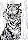 Cartoon: Tiger (small) by Pascal Kirchmair tagged predator,raubkatze,predateur,felin,felino,fauve,predador,predatore,tiger,tigre,big,cat,cats,katzen,gatos,gatti,chats,illustration,ink,drawing,zeichnung,pascal,kirchmair,cartoon,caricature,karikatur,ilustracion,dibujo,desenho,ilustracao,illustrazione,illustratie,dessin,de,presse,tekening,teckning,cartum,vineta,comica,vignetta,caricatura,tusche,tuschezeichnung,portrait,retrato,porträt,ritratto,art,arte,kunst,artwork