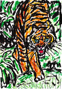 Cartoon: Tiger (small) by Pascal Kirchmair tagged predator,raubkatze,predateur,felin,felino,fauve,predador,predatore,tiger,tigre,big,cat,cats,katzen,gatos,gatti,chats,illustration,ink,drawing,zeichnung,pascal,kirchmair,cartoon,caricature,karikatur,ilustracion,dibujo,desenho,ilustracao,illustrazione,illustratie,dessin,de,presse,tekening,teckning,cartum,vineta,comica,vignetta,caricatura,tusche,tuschezeichnung,portrait,retrato,porträt,ritratto,art,arte,kunst,artwork,encre,chine,tinta,china,inchiostro,nanquim