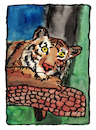 Cartoon: Tiger (small) by Pascal Kirchmair tagged predator,raubkatze,predateur,felin,felino,fauve,predador,predatore,tiger,tigre,big,cat,cats,katzen,gatos,gatti,chats,illustration,ink,drawing,zeichnung,pascal,kirchmair,cartoon,caricature,karikatur,ilustracion,dibujo,desenho,ilustracao,illustrazione,illustratie,dessin,de,presse,tekening,teckning,cartum,vineta,comica,vignetta,caricatura,tusche,tuschezeichnung,portrait,retrato,porträt,ritratto,art,arte,kunst,artwork,encre,chine,tinta,china,inchiostro,nanquim,watercolour,watercolor,aquarell,aquarelle,acuarela,aguarela,aquarela