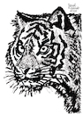 Cartoon: Tiger (small) by Pascal Kirchmair tagged predator,raubkatze,predateur,felin,felino,fauve,predador,predatore,tiger,tigre,big,cat,cats,katzen,gatos,gatti,chats,illustration,ink,drawing,zeichnung,pascal,kirchmair,cartoon,caricature,karikatur,ilustracion,dibujo,desenho,ilustracao,illustrazione,illustratie,dessin,de,presse,tekening,teckning,cartum,vineta,comica,vignetta,caricatura,tusche,tuschezeichnung,portrait,retrato,porträt,ritratto,art,arte,kunst,artwork,modern,brut