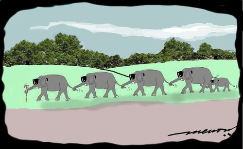 Cartoon: Blind leading Blind (medium) by kar2nist tagged blind,elephants,tail,enders