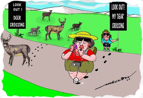 Cartoon: Caution (medium) by kar2nist tagged dear,deer,crossing,alert,caution,highway