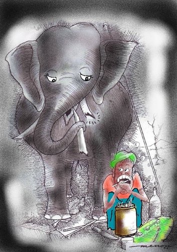 Cartoon: His Masters Choice (medium) by kar2nist tagged behaviour,imitating,pick,tooth,model,role,keepr,elephant