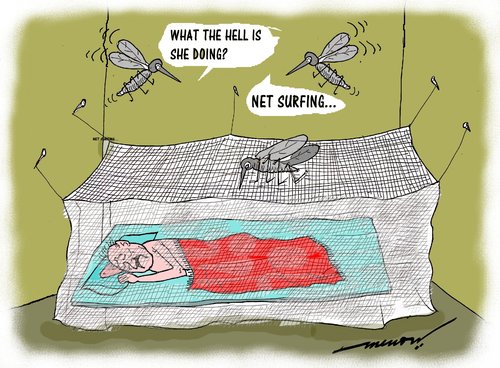 Cartoon: Net savvy mosquitoe (medium) by kar2nist tagged mosquitoe,blood,net