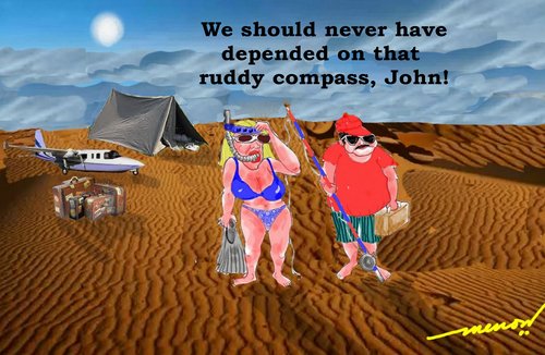 Cartoon: Rotten Holiday (medium) by kar2nist tagged navigation,holiday,surfing,diving,fishing,desert