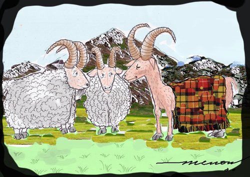 Cartoon: smart sheep (medium) by kar2nist tagged sheep,wool,blanket