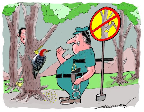 Cartoon: The Fall Guy... (medium) by kar2nist tagged tree,felling,woodpecker,police